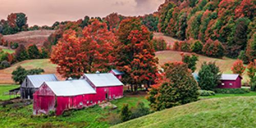20 Reasons to Taste Vermont in the Fall