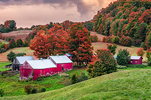 20 Reasons to Taste Vermont in the Fall