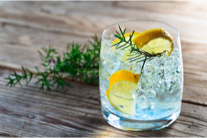 Gin with lemon and juniper branch